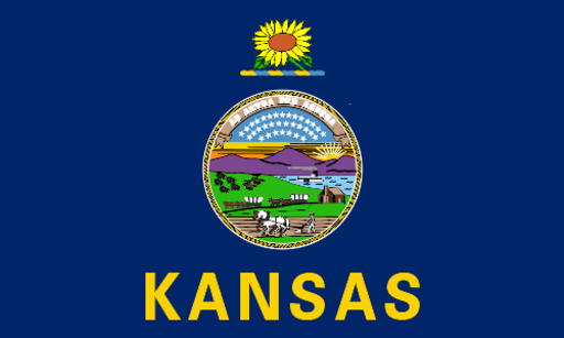Kansas Flag