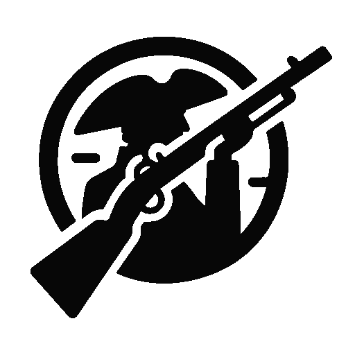 American Revolution AVSOPS War Icon